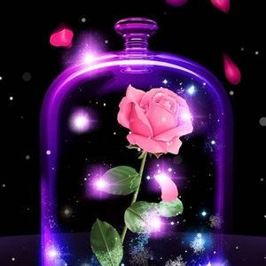 Meet your Posher, Melinda